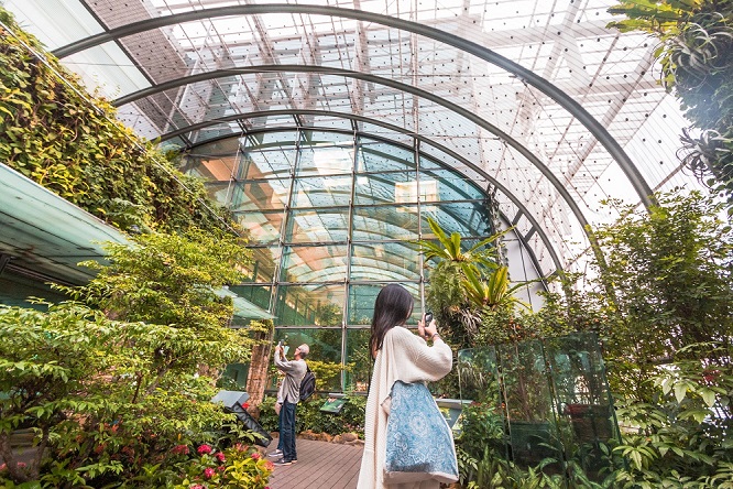 Things to do in Changi Airport  How To Explore Singapore Airport