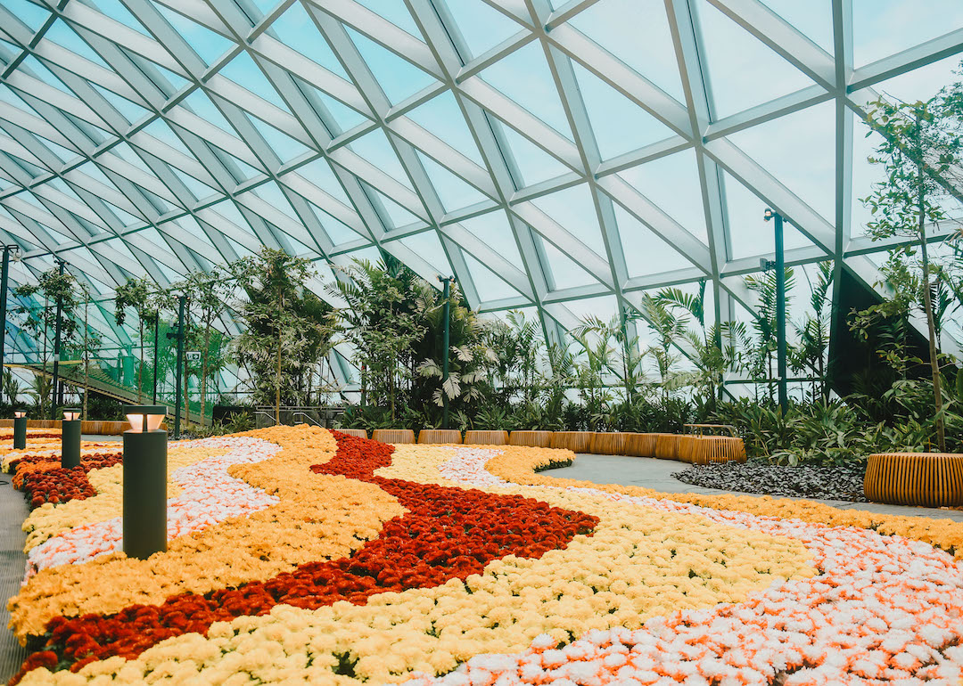 canopy park walk at jewel changi airport singapore