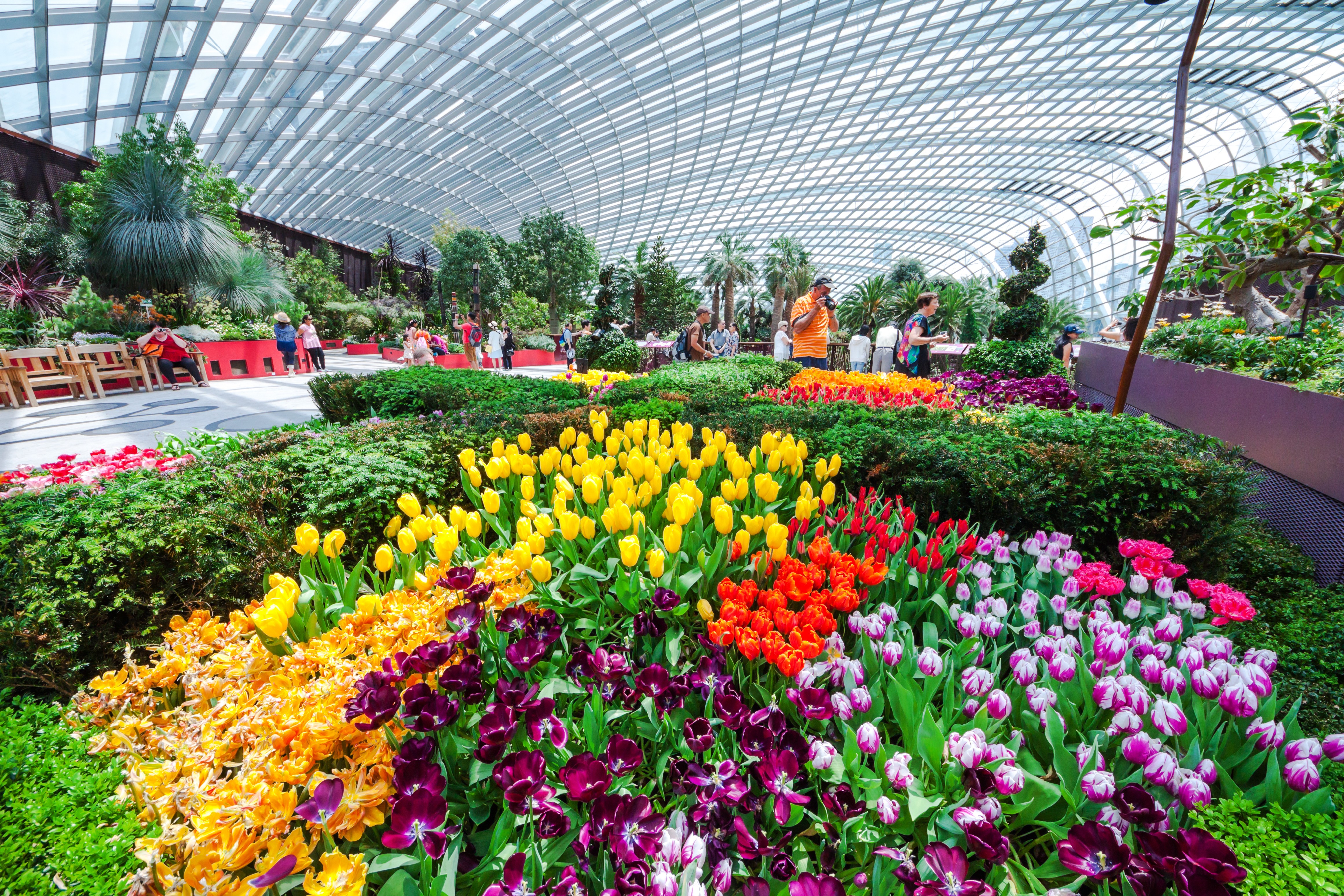 fst gardens city tour